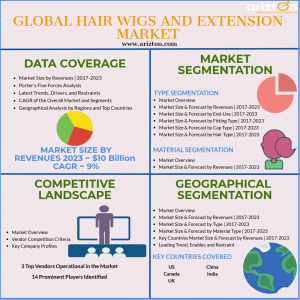 Hair Wigs And Extension Market Analysis 2018 2023 Human - 