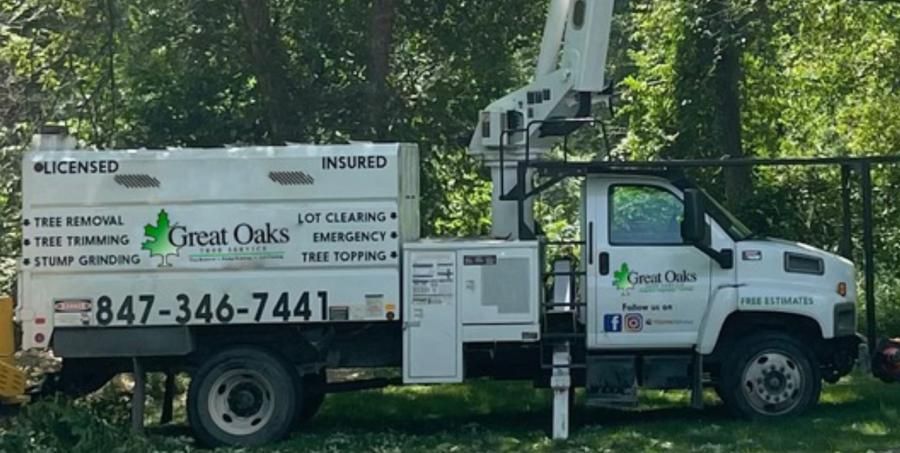 Growing Strong How Tree Leads Today & Their Tree Care Marketing