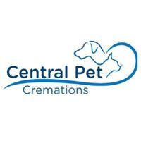 UK Announces Ban on American XL Bully Dogs Amid Safety Concerns WICZ