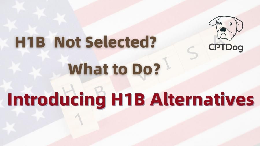 CPTDog Offers Solutions for International Students Not Selected in H1B Lottery SOUTHEAST