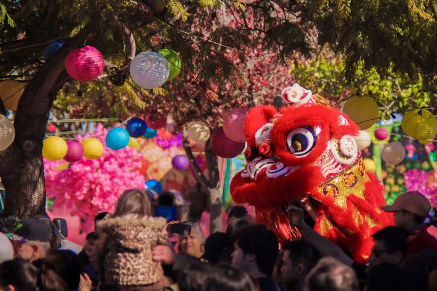 Lion Dances, Food, and Family Fun San Diego's Lunar New Year Festival