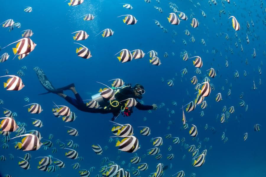 Bandos Maldives' Island Sustainability Strategy Green Globe Approved