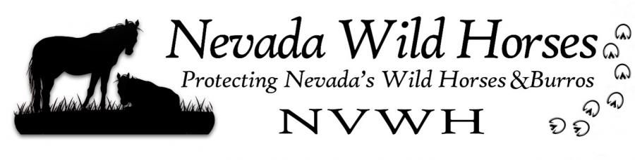 New Name, Expanded Focus for Nevada's Wild Horse Non-Profit Organization