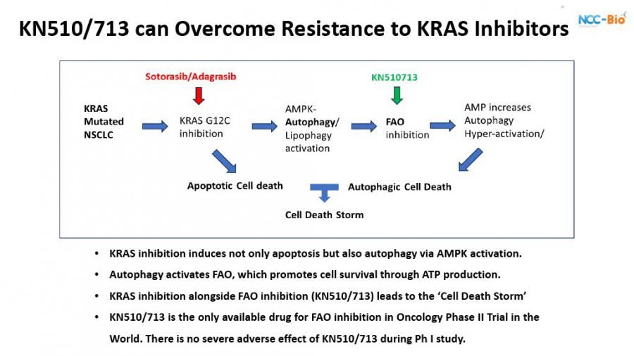 NCC-Bio and GR Boston N. Announce Breakthrough in Overcoming KRAS Therapy Resistance, Pancreatic Cancer Awareness Month