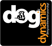 Dog Dynamics Earns Recognition Among Top Bay Area Dog Training Firms in 2025