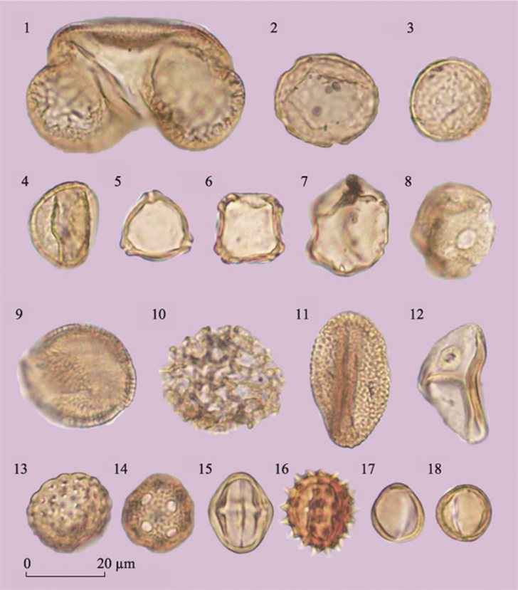 How Late Pleistocene Climate Shaped Hominin Adaptations in South China