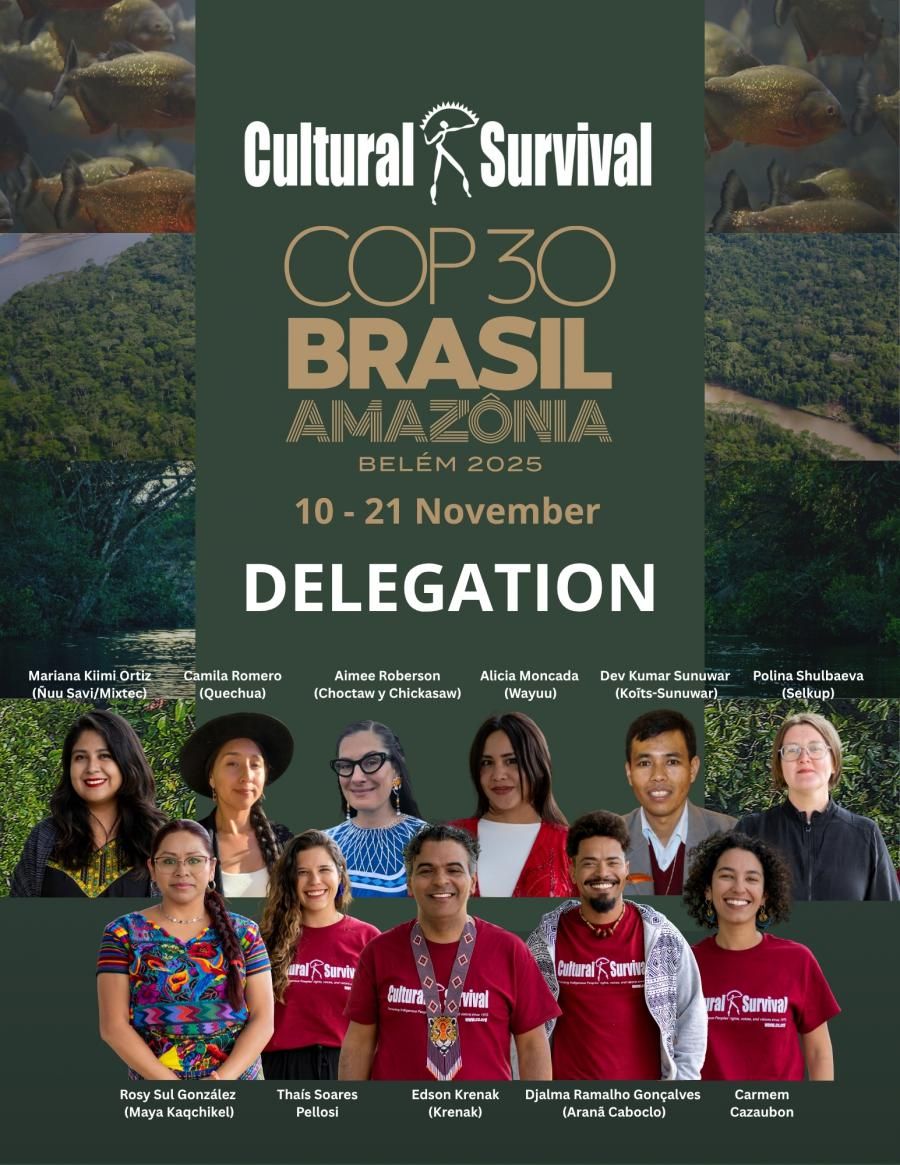 Cultural Survival Is at COP30 to Ensure Indigenous Rights Are Part of the Climate Solution