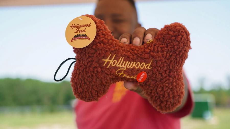 Hollywood Feed Launches Emergency Relief Fund