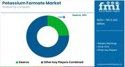 Potassium Formate Market Set for Strong Growth Driven by Drilling Fluids and Eco-Friendly Applications