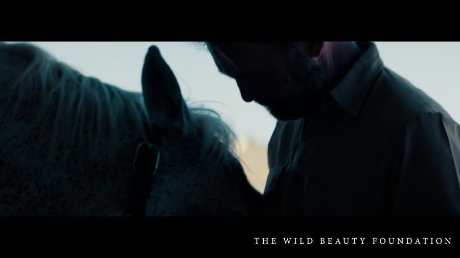 Veterans Join Fight to End Horse Slaughter in New PSA from The Wild Beauty Foundation