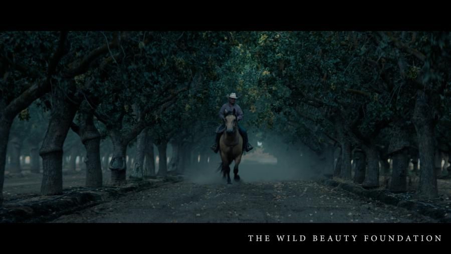 Actor Dermot Mulroney Joins The Lost Horses Campaign in New PSA Honoring Veterans and America's Horses