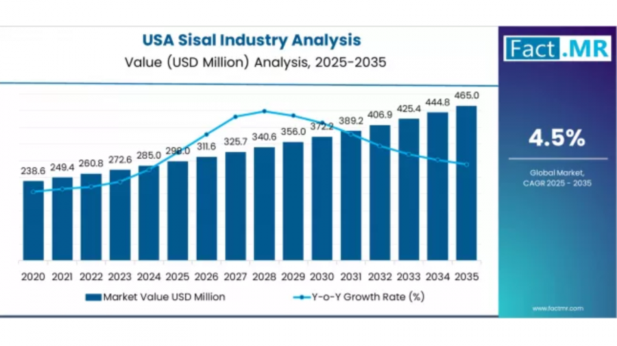 Sisal - Top USA Industry Trends in 2026