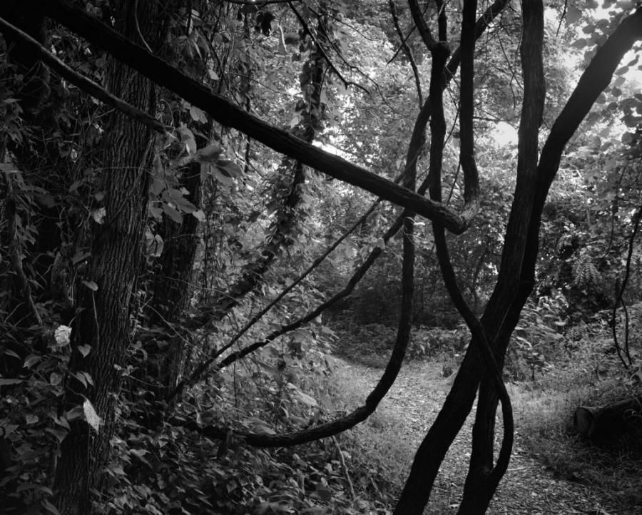 Dawoud Bey: Elegy – A Major Exhibition at the New Orleans Museum of Art