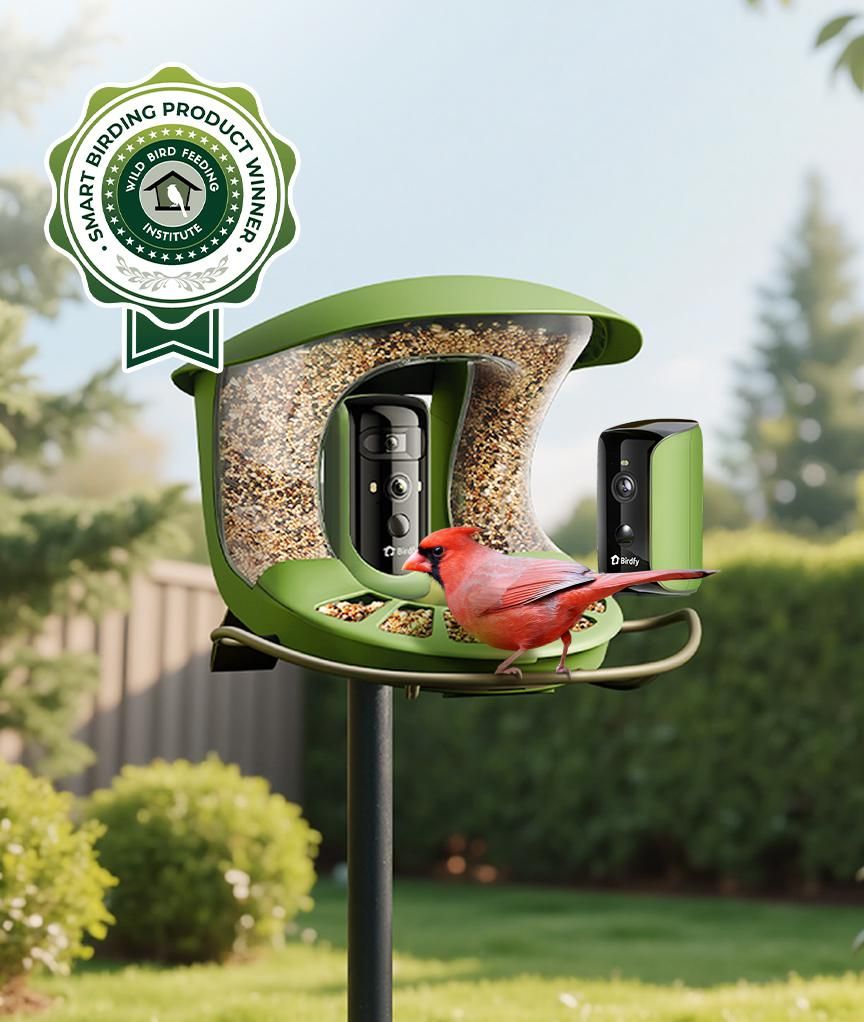 Birdfy Joins Wild Bird Feeding Institute's Board of Directors and Receives Industry Recognition for Flagship Product