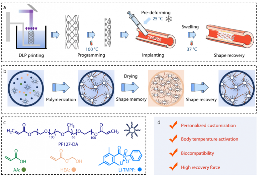 Body-heat activated shape memory polymer advances minimally invasive stent design