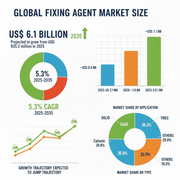 Global and European Fixing Agent Market Outlook 2025–2035