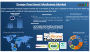 Europe Functional Mushroom Market to Reach US$ 28.6 billion by 2032 as Wellness Demand Surges