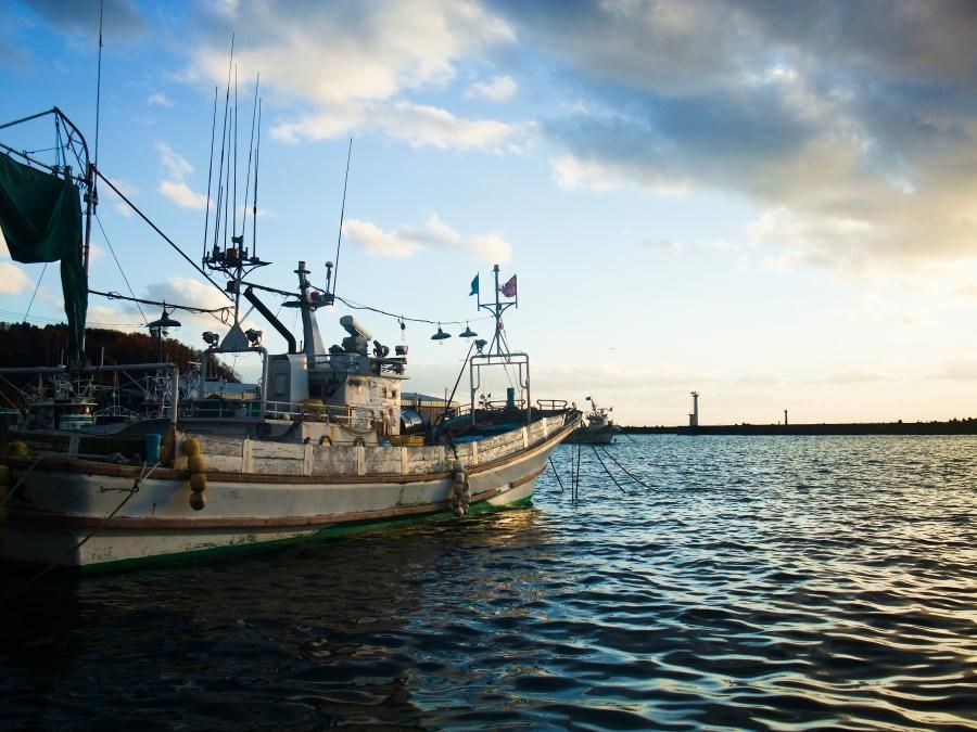 'Hokkaido Seafood Fair' Brings Hokkaido's Fresh Scallops to New York, Nov. 19–25