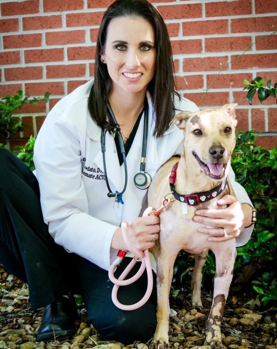 Dr. Dena Lodato Inducted into Bombshell Boss Babes