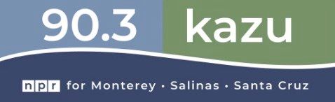 SideBar: Optimism in Action Welcomes Aimee David, Vice President of U.S. and California Ocean Conservation