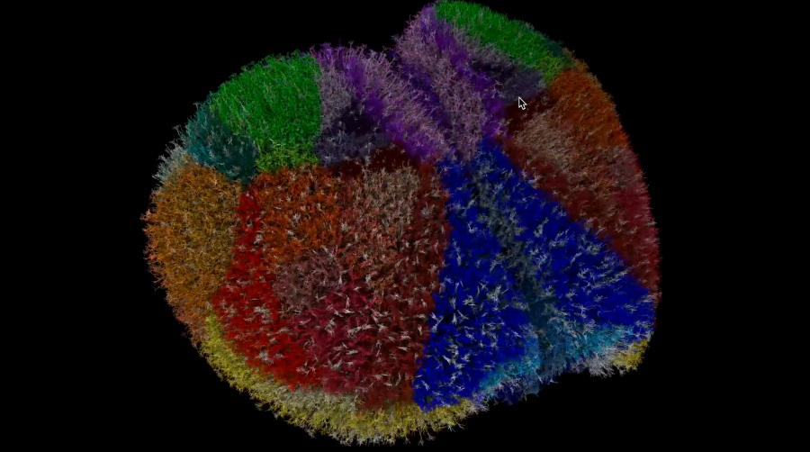 One of the World's Most Detailed Virtual Brain Simulations is Changing How Scientists Study the Brain