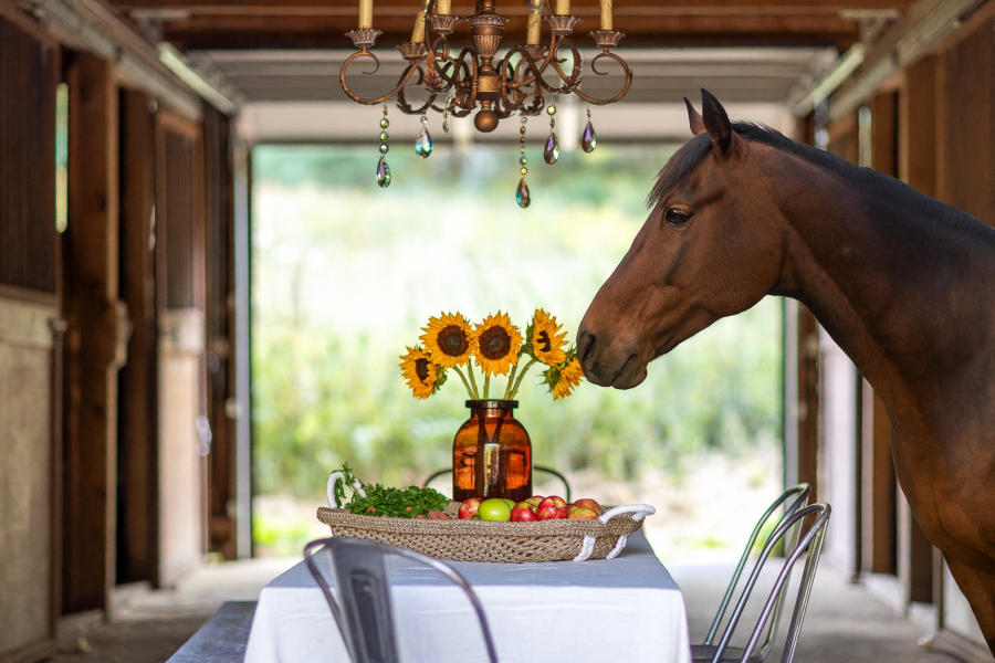 Hudson Valley Equestrian Property 'The Ranch at Mt. Laurel' Comes to Market With Expansion Potential