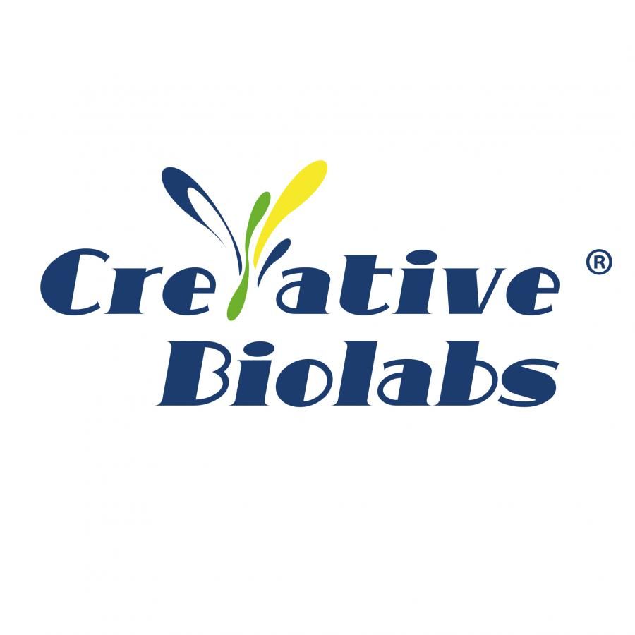 Brain Research: Creative Biolabs Introduces NeuroST™ for Smarter Disease Modeling