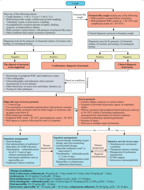 Rising antibiotic resistance spurs new treatment strategy for pediatric pertussis