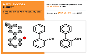 Metal Biocides Market Trends Indicate Strong Expansion to 2031