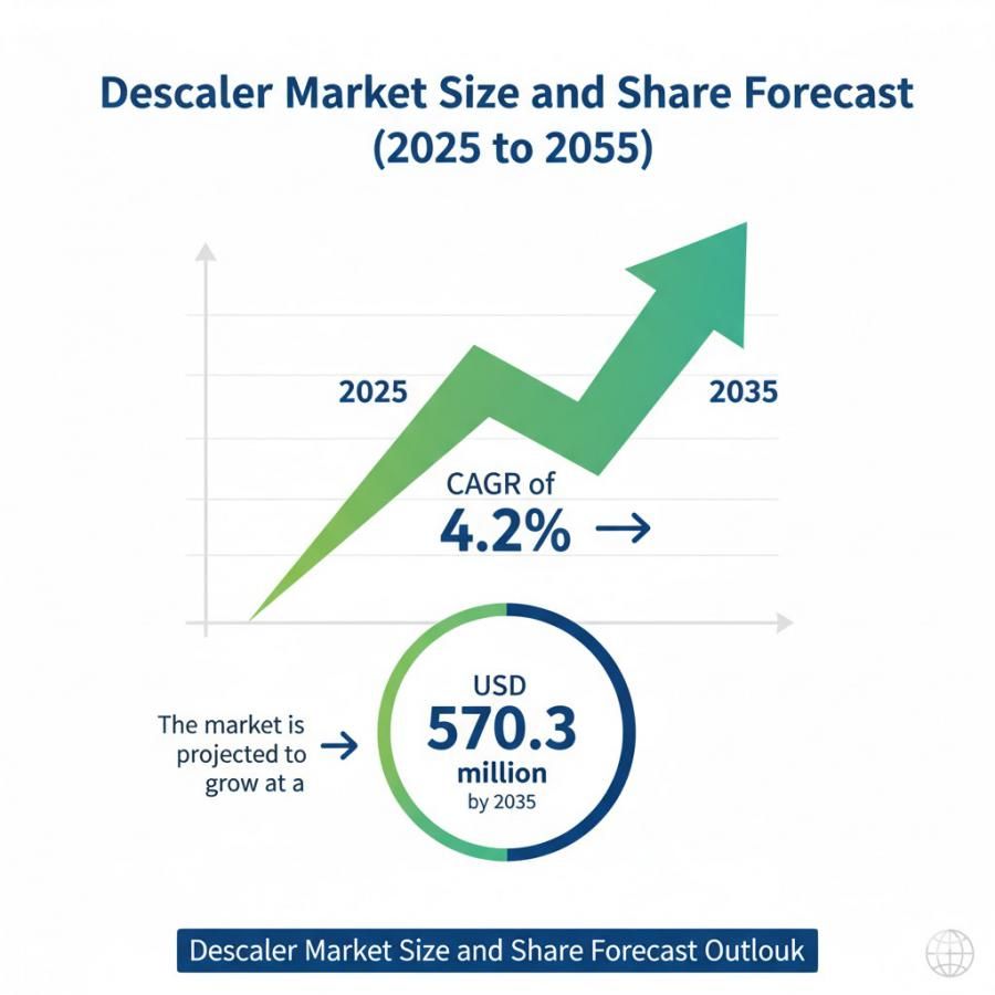 Global and European Descaler Market Share Analysis Outlook 2025–2035
