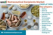 Nutraceutical Excipients Market Set to Soar: Innovations, Growth Drivers & Opportunities 2025 | DataM Intelligence