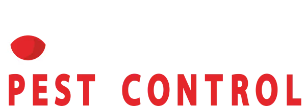 Optimum Launches Comprehensive Termite Control Services to Prevent Hidden Structural Damage in Homes