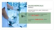 An Overview of Oleochemicals and Its Usage in Different Industries