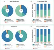 Burned and bloated: gut bacteria take a hit after alcohol and burn injuries