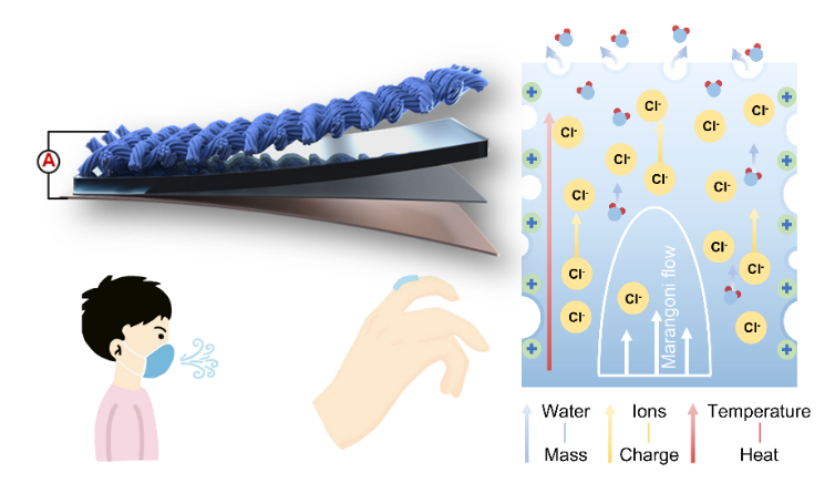 Flexible Evaporation-Induced Generator for Wearable Power Generation