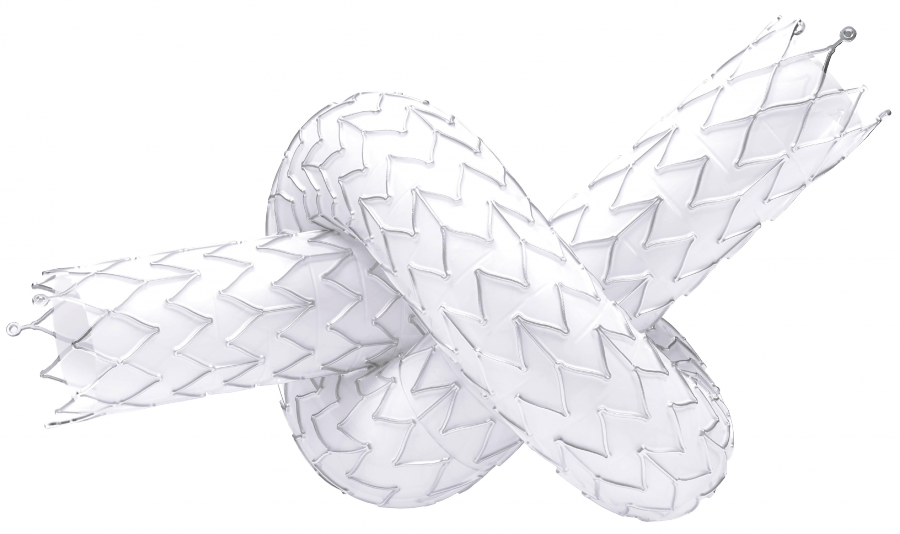 Solaris Endovascular Reports Positive 12-Month Results from the Solaris SX™ Iliac Multicenter Study