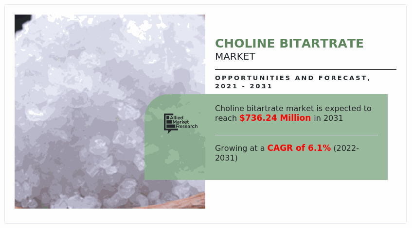 Choline Bitartrate Market Size, Global Supply & Demand Analysis, Opportunity Outlook to 2031