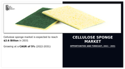 Cellulose Sponge Market Size, Global Supply & Demand Analysis, Opportunity Outlook to 2031